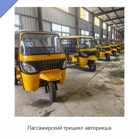 Пассажирский трицикл-авторикша