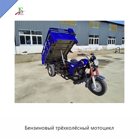 Бензиновый трёхколёсный мотоцикл