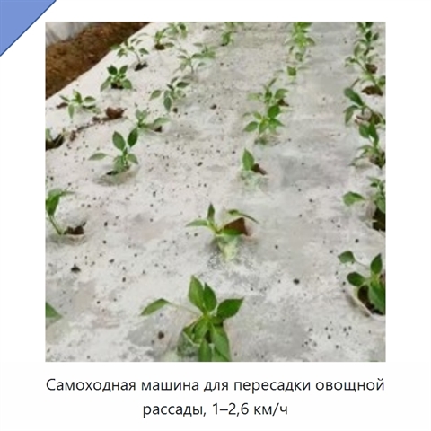 Самоходная машина для пересадки овощной рассады, 1–2,6 км/ч