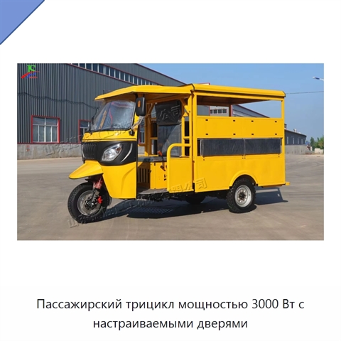 Пассажирский трицикл мощностью 3000 Вт с настраиваемыми дверями