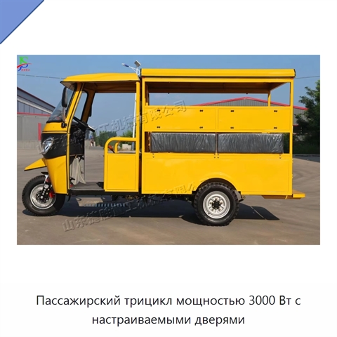 Пассажирский трицикл мощностью 3000 Вт с настраиваемыми дверями