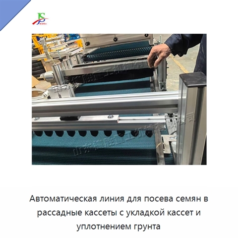 Автоматическая линия для посева семян в рассадные кассеты с укладкой кассет и уплотнением грунта