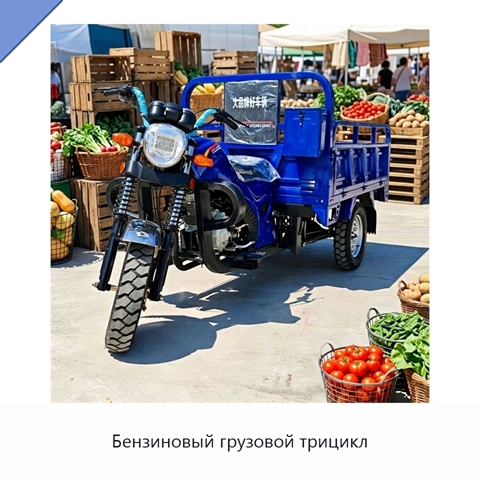 Бензиновый грузовой трицикл