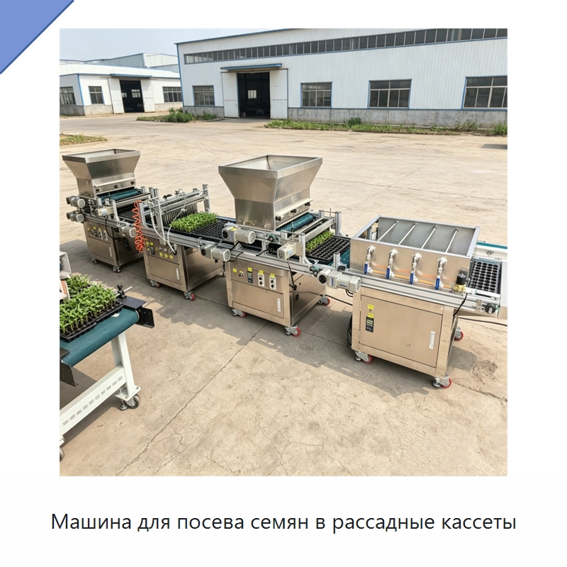 Машина для посева семян в рассадные кассеты — Сеялки и рассадопосадочные машины