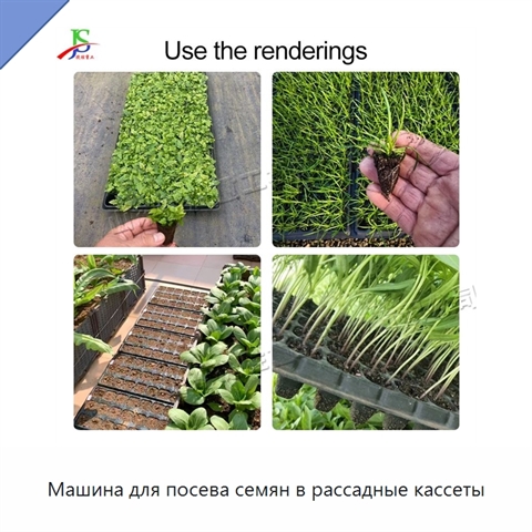 Машина для посева семян в рассадные кассеты