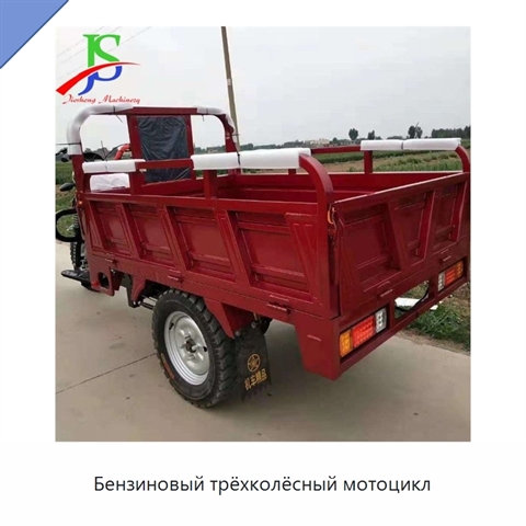 Бензиновый трёхколёсный мотоцикл