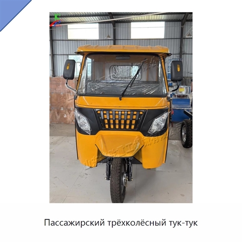 Пассажирский трёхколёсный тук-тук