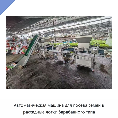 Автоматическая машина для посева семян в рассадные лотки барабанного типа
