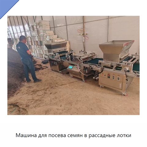 Машина для посева семян в рассадные лотки