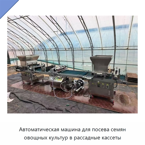 Автоматическая машина для посева семян овощных культур в рассадные кассеты