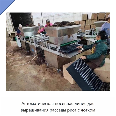 Автоматическая посевная линия для выращивания рассады риса с лотком