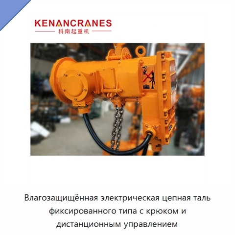 Влагозащищённая электрическая цепная таль фиксированного типа с крюком и дистанционным управлением
