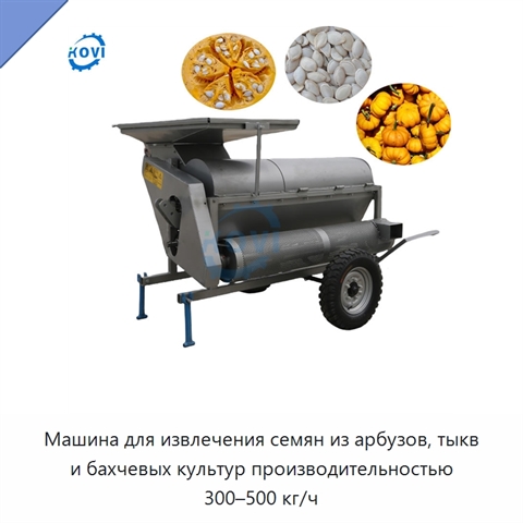 Машина для извлечения семян из арбузов, тыкв и бахчевых культур производительностью 300–500 кг/ч