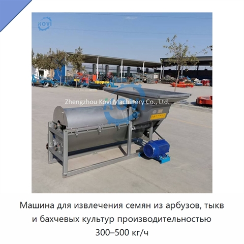 Машина для извлечения семян из арбузов, тыкв и бахчевых культур производительностью 300–500 кг/ч