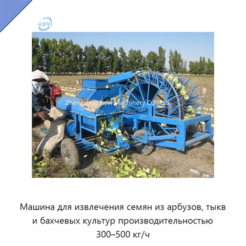 Машина для извлечения семян из арбузов, тыкв и бахчевых культур производительностью 300–500 кг/ч