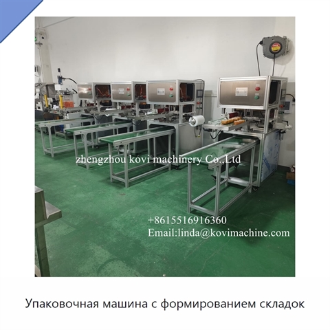Упаковочная машина с формированием складок