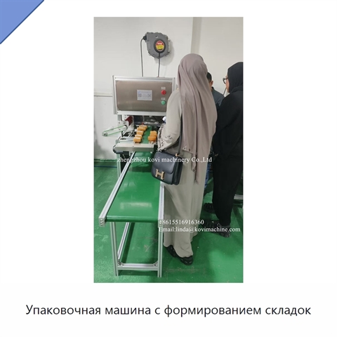 Упаковочная машина с формированием складок