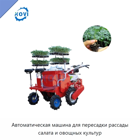 Автоматическая машина для пересадки рассады салата и овощных культур
