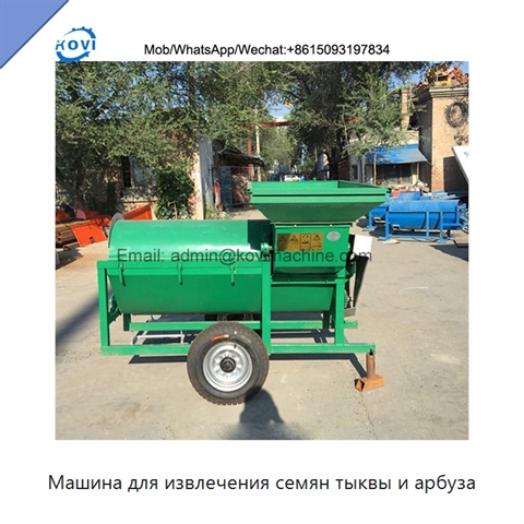 Машина для извлечения семян тыквы и арбуза