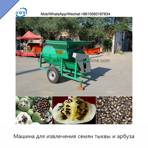 Машина для извлечения семян тыквы и арбуза