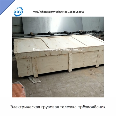 Электрическая грузовая тележка-трёхколёсник