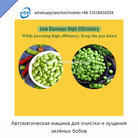 Автоматическая машина для очистки и лущения зелёных бобов