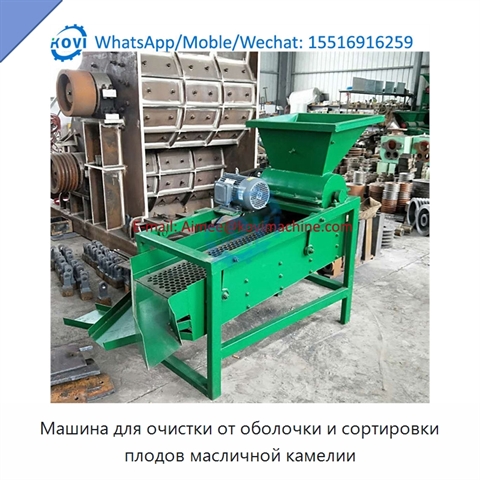 Машина для очистки от оболочки и сортировки плодов масличной камелии