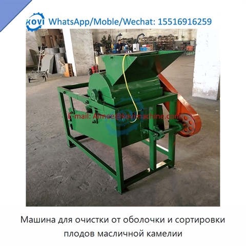 Машина для очистки от оболочки и сортировки плодов масличной камелии