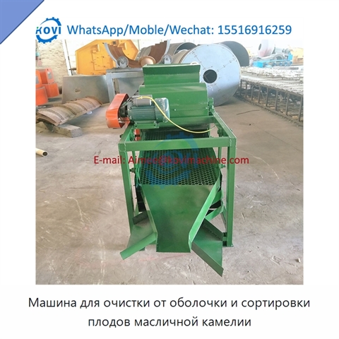 Машина для очистки от оболочки и сортировки плодов масличной камелии