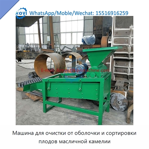 Машина для очистки от оболочки и сортировки плодов масличной камелии