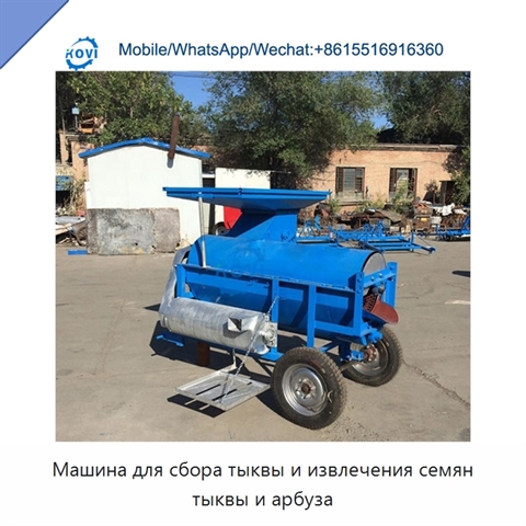 Машина для сбора тыквы и извлечения семян тыквы и арбуза