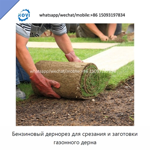 Бензиновый дернорез для срезания и заготовки газонного дерна