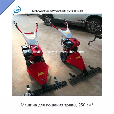 Машина для кошения травы, 250 см³