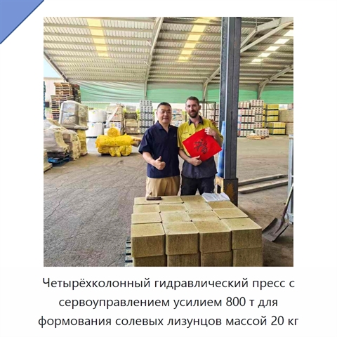 Четырёхколонный гидравлический пресс с сервоуправлением усилием 800 т для формования солевых лизунцов массой 20 кг