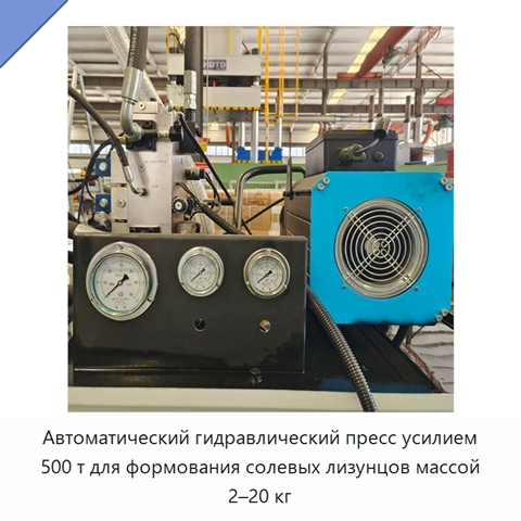 Автоматический гидравлический пресс усилием 500 т для формования солевых лизунцов массой 2–20 кг