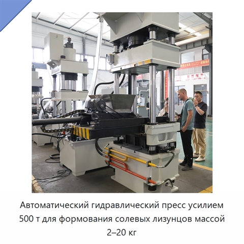 Автоматический гидравлический пресс усилием 500 т для формования солевых лизунцов массой 2–20 кг