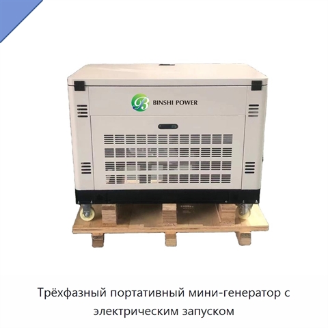 Трёхфазный портативный мини-генератор с электрическим запуском