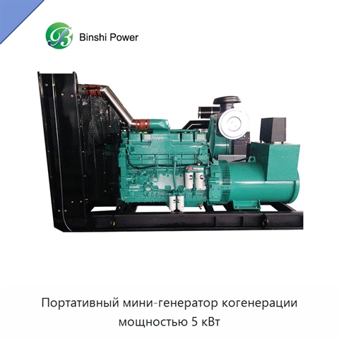 Портативный мини-генератор когенерации мощностью 5 кВт