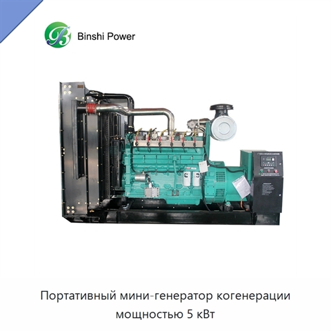 Портативный мини-генератор когенерации мощностью 5 кВт