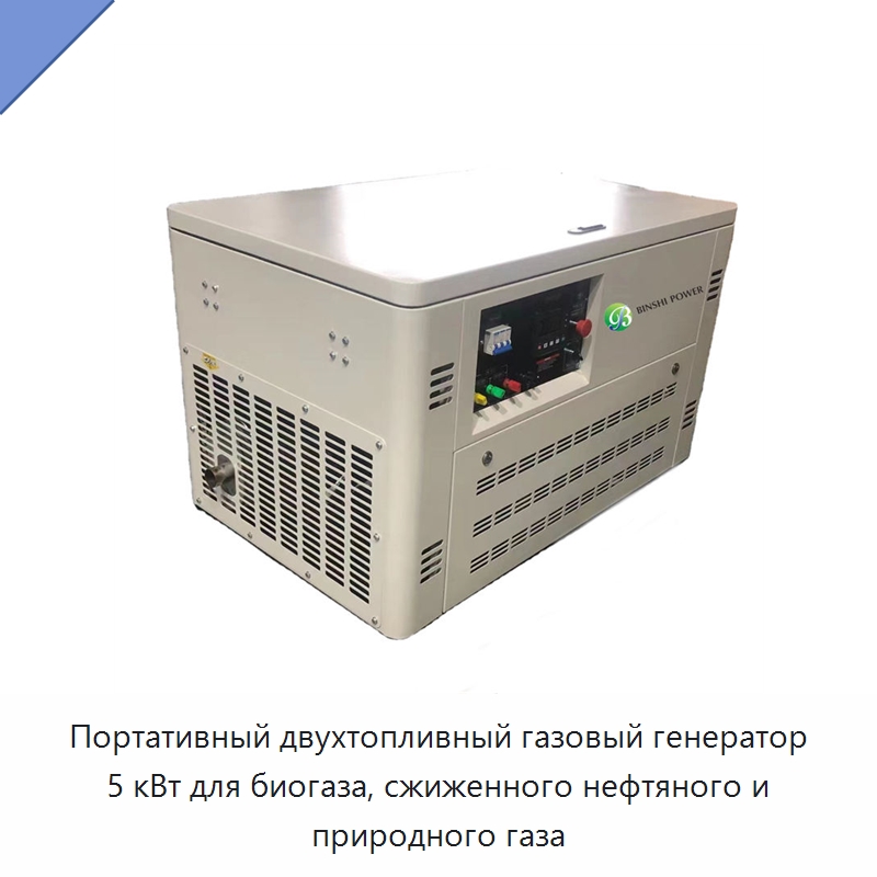 Портативный двухтопливный газовый генератор 5 кВт для биогаза, сжиженного нефтяного и природного газа — Газотурбинные генераторы