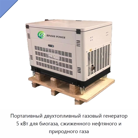 Портативный двухтопливный газовый генератор 5 кВт для биогаза, сжиженного нефтяного и природного газа