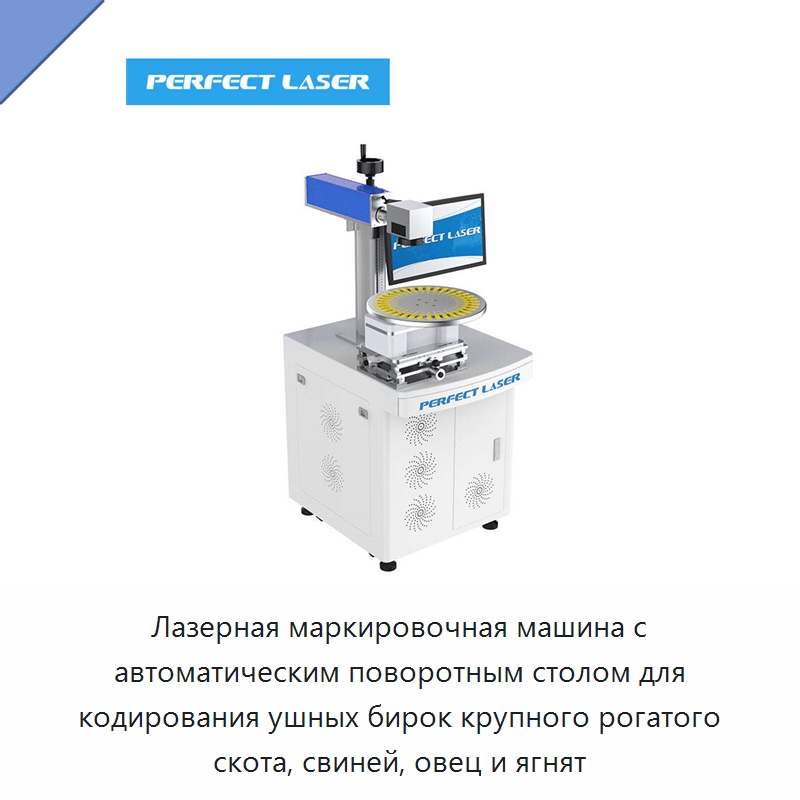 Лазерная маркировочная машина с автоматическим поворотным столом для кодирования ушных бирок крупного рогатого скота, свиней, овец и ягнят — Лазерные маркировочные станки