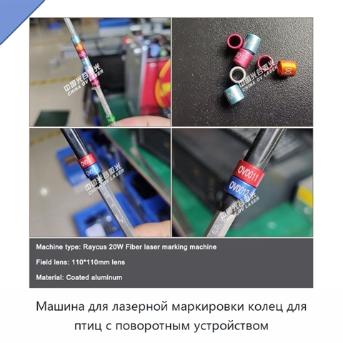 Машина для лазерной маркировки колец для птиц с поворотным устройством