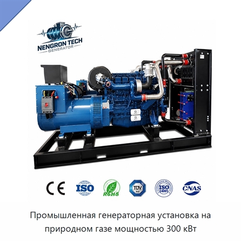 Промышленная генераторная установка на природном газе мощностью 300 кВт
