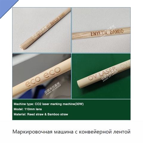 Маркировочная машина с конвейерной лентой
