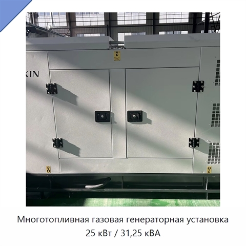 Многотопливная газовая генераторная установка 25 кВт / 31,25 кВА