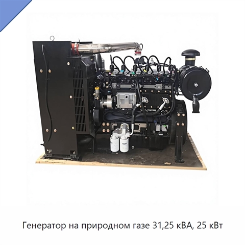 Генератор на природном газе 31,25 кВА, 25 кВт