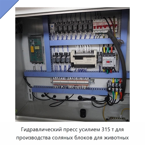 Гидравлический пресс усилием 315 т для производства соляных блоков для животных