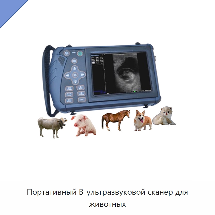 Портативный B-ультразвуковой сканер для животных — Специальные испытательные приборы