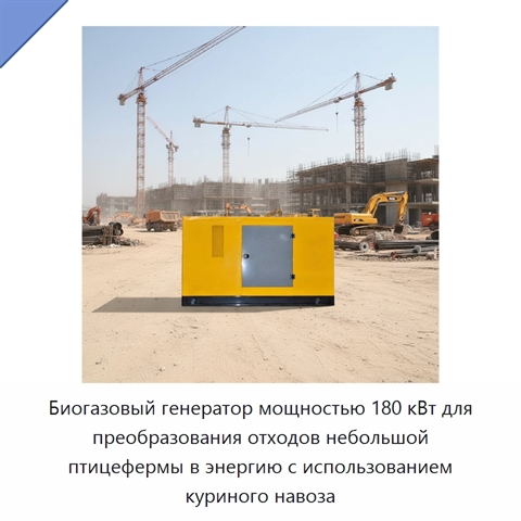 Биогазовый генератор мощностью 180 кВт для преобразования отходов небольшой птицефермы в энергию с использованием куриного навоза